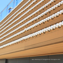 Compósitos de madeira-plástico ecológico Wpc Wall Siding